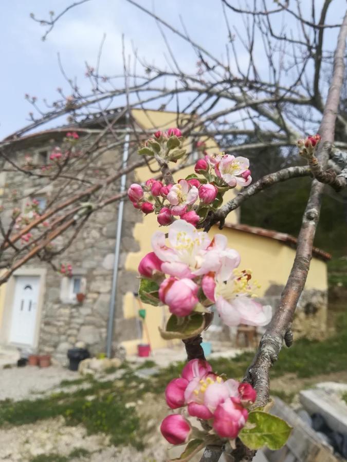 Hotel Skalameri à Kozljak Extérieur photo